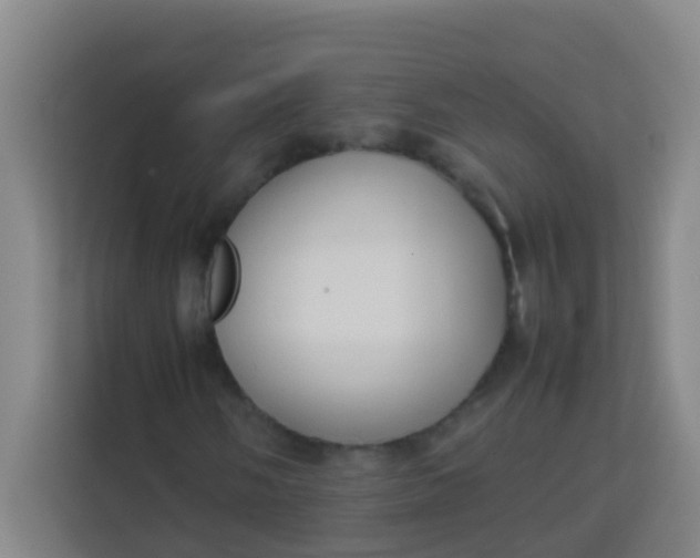 X0000113931058200910091557