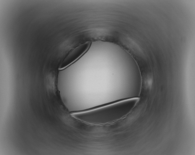 X0000113931060200910091557