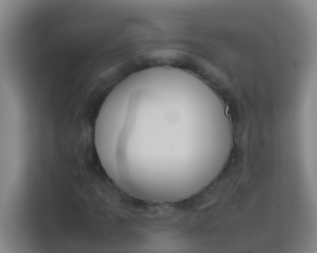 X0000113931061200910091557