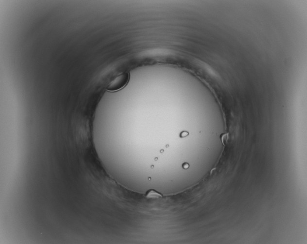 X0000113931062200910091557