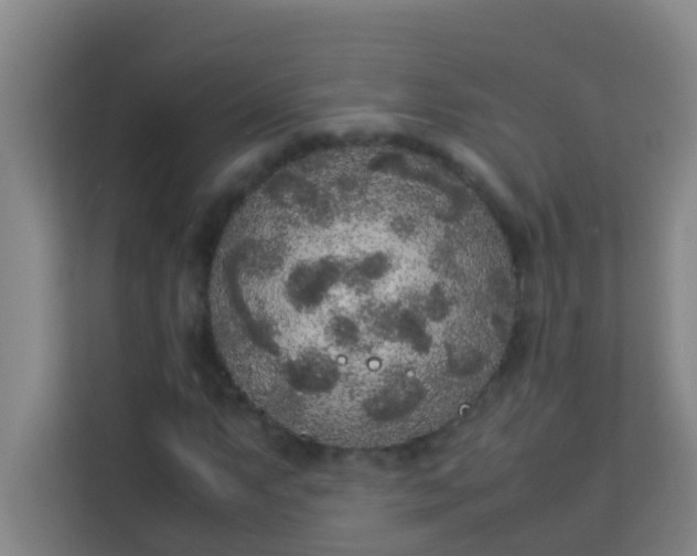 X0000113931063200910091557