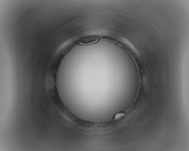 X0000113931064200910091557