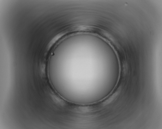 X0000113931066200910091557