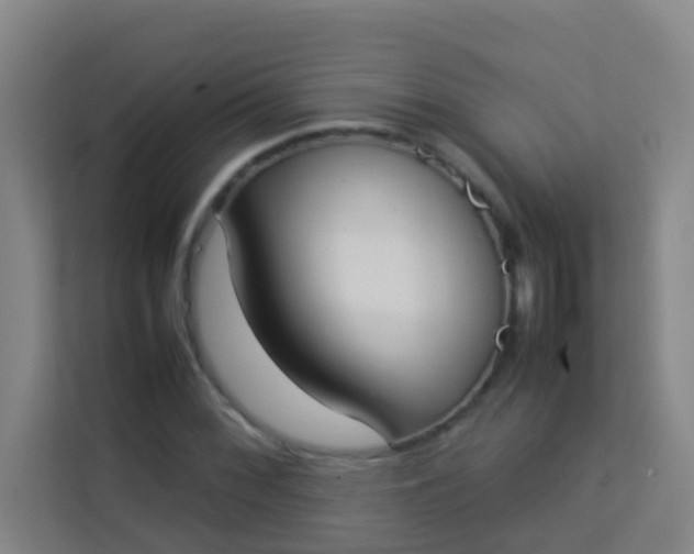 X0000113931068200910091557