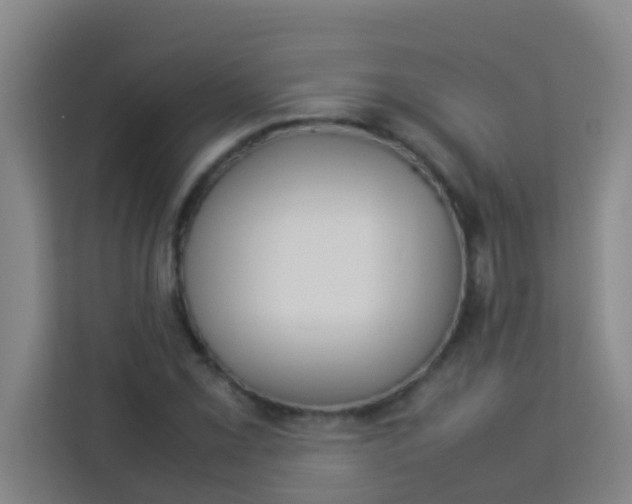 X0000113931069200910091557