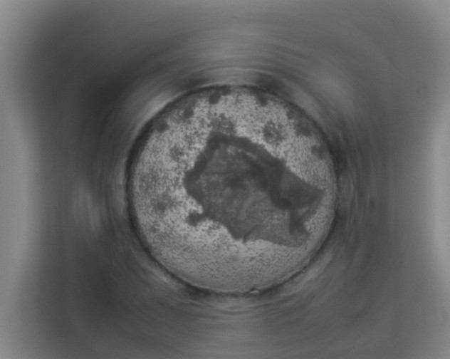 X0000113931071200910091557