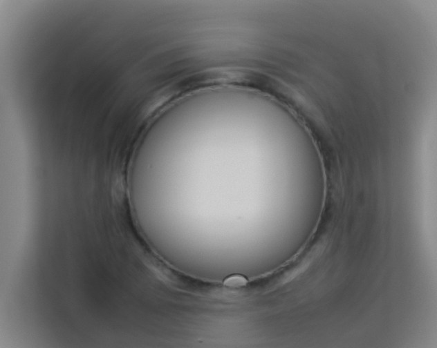 X0000113931073200910091557