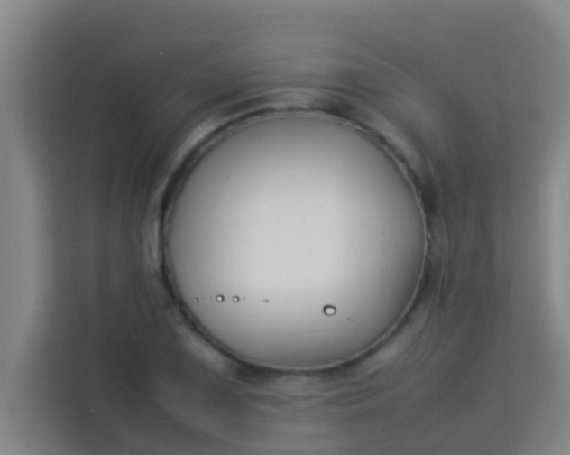 X0000113931075200910091557