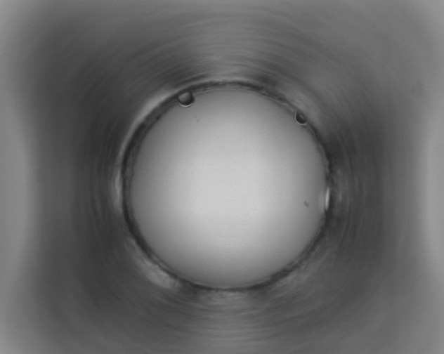 X0000113931076200910091557