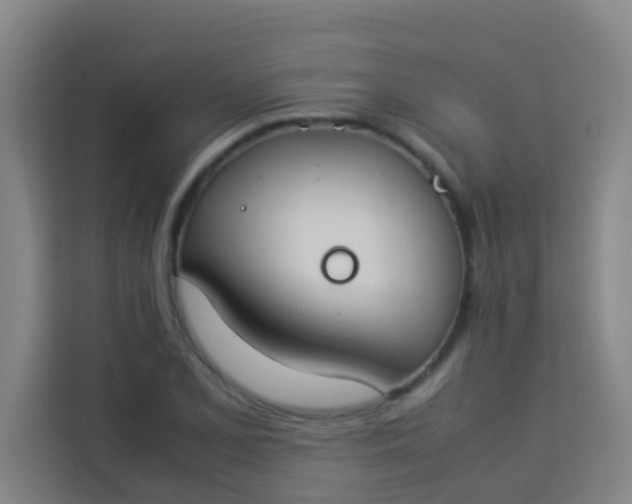 X0000113931077200910091557