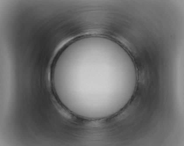 X0000113931078200910091557