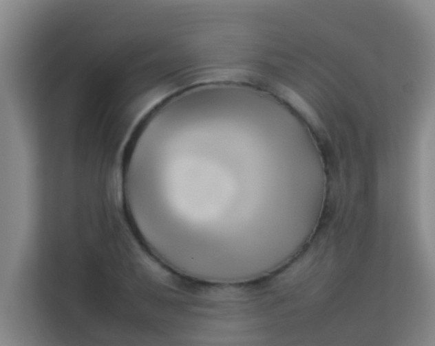 X0000113931079200910091557