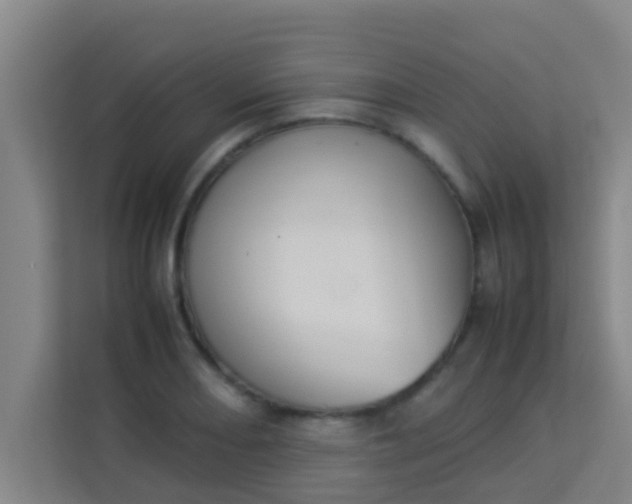 X0000113931082200910091557