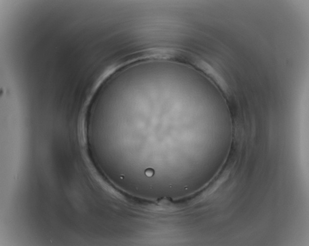 X0000113931083200910091557