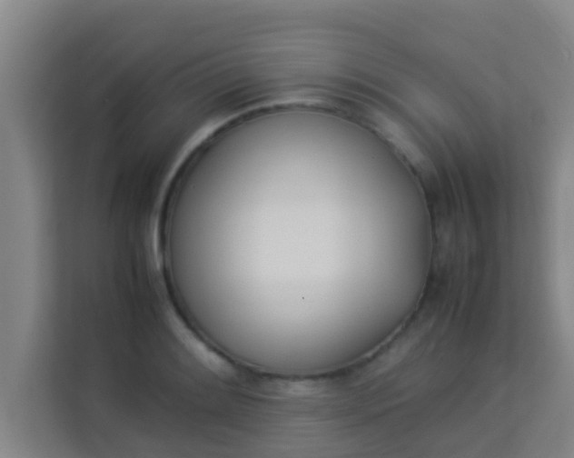 X0000113931084200910091557