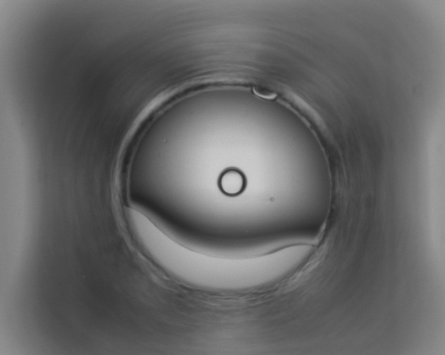 X0000113931085200910091557