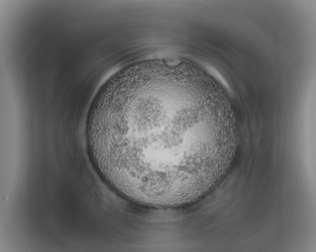 X0000113931087200910091557