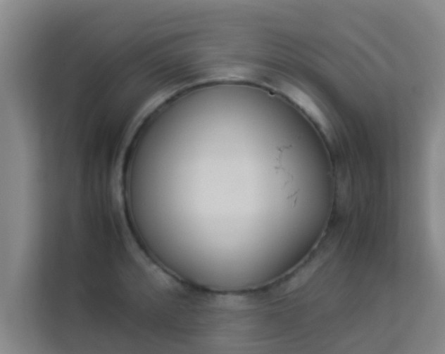 X0000113931088200910091557