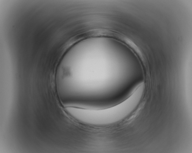 X0000113931089200910091557