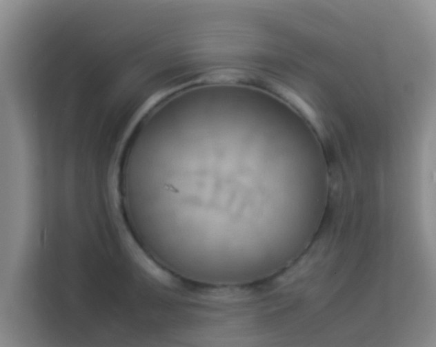 X0000113931091200910091557