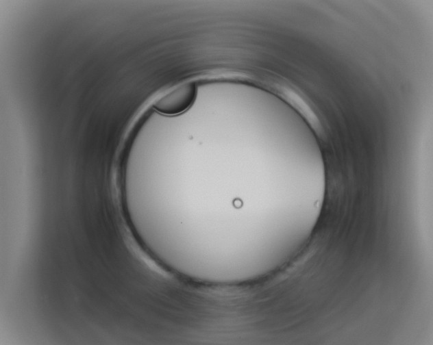 X0000113931092200910091557