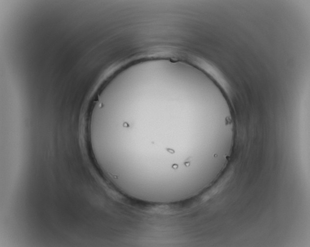 X0000113931093200910091557