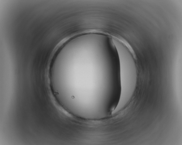 X0000113931096200910091557