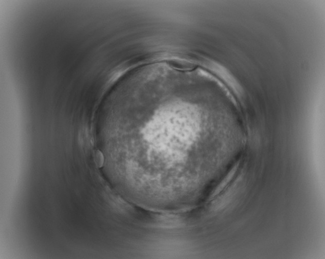 X0000113931097200910091557