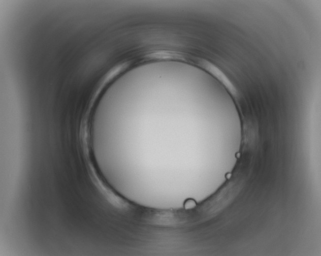 X0000113931098200910091557