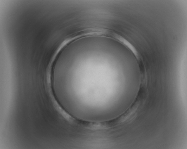 X0000113931099200910091557