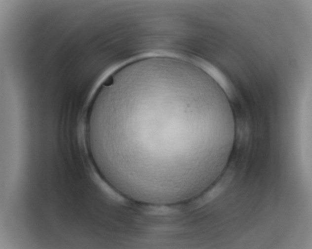 X0000113931100200910091557