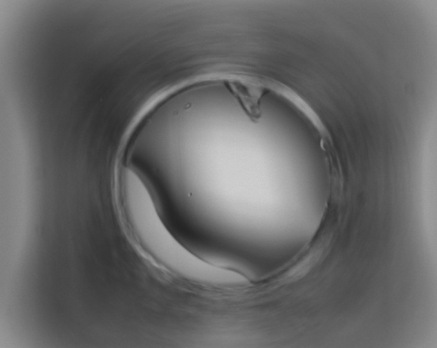 X0000113931101200910091557