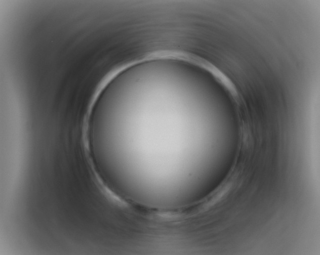 X0000113931102200910091557