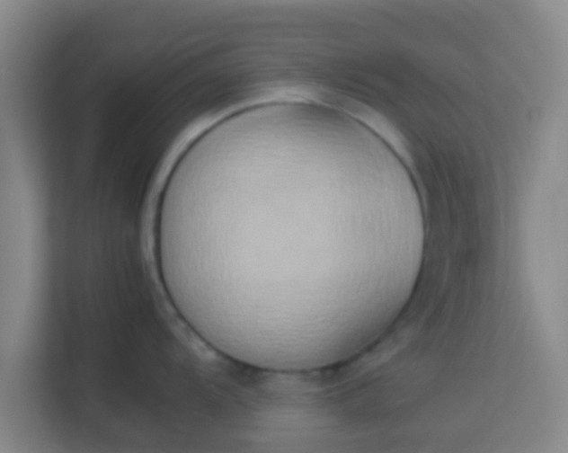 X0000113931104200910091557