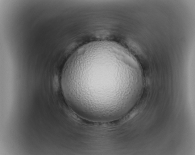 X0000113931106200910091556