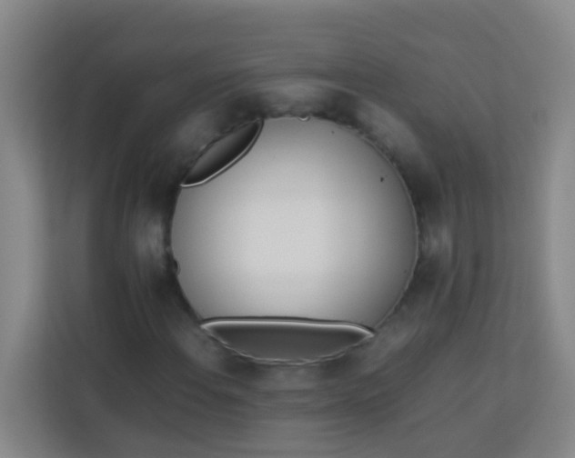 X0000113931108200910091556