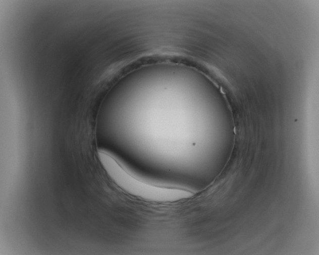 X0000113931110200910091556