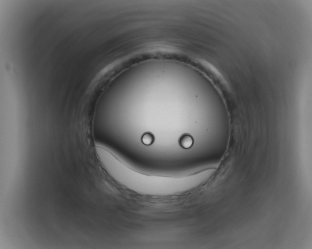 X0000113931112200910091556