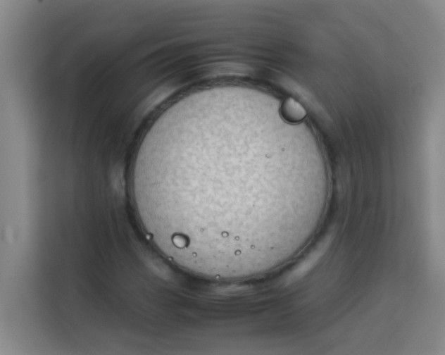 X0000113931113200910091556