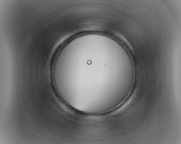 X0000113931114200910091556