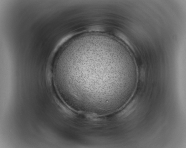 X0000113931115200910091556