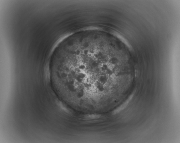 X0000113931117200910091556