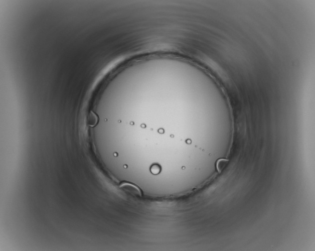 X0000113931118200910091556