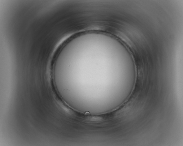 X0000113931119200910091556