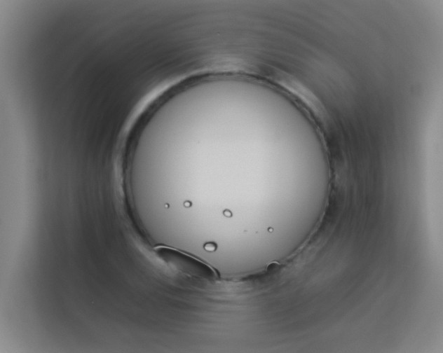 X0000113931120200910091556