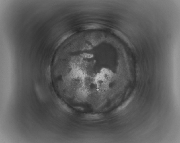 X0000113931121200910091556