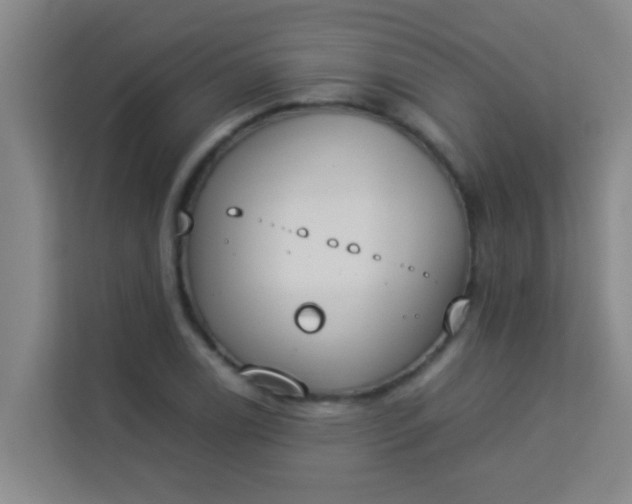 X0000113931122200910091556