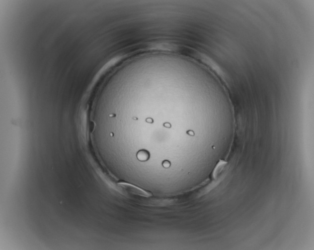 X0000113931123200910091556