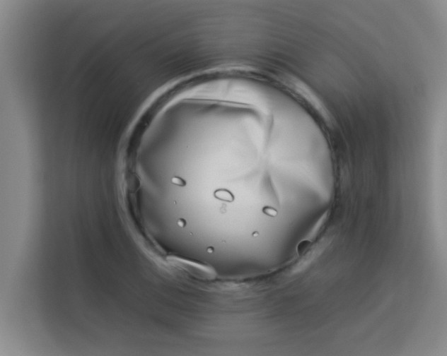 X0000113931124200910091556