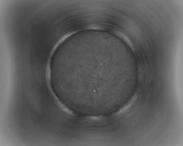 X0000113931125200910091556